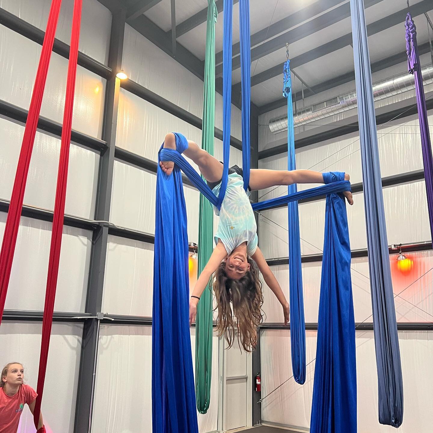 See you tonight in youth silks! 🦋

💙Youth Silks 1 Wednesday at 6:15
💙Youth Silks 2 Wednesday at 7:30
💙 Youth Multi-level Silks Monday at 4:45
&bull;
&bull;
&bull;
#axisaerialarts #youthsilks #youthsilksclass #aerialsilkstricks #aerialsilks #aeria