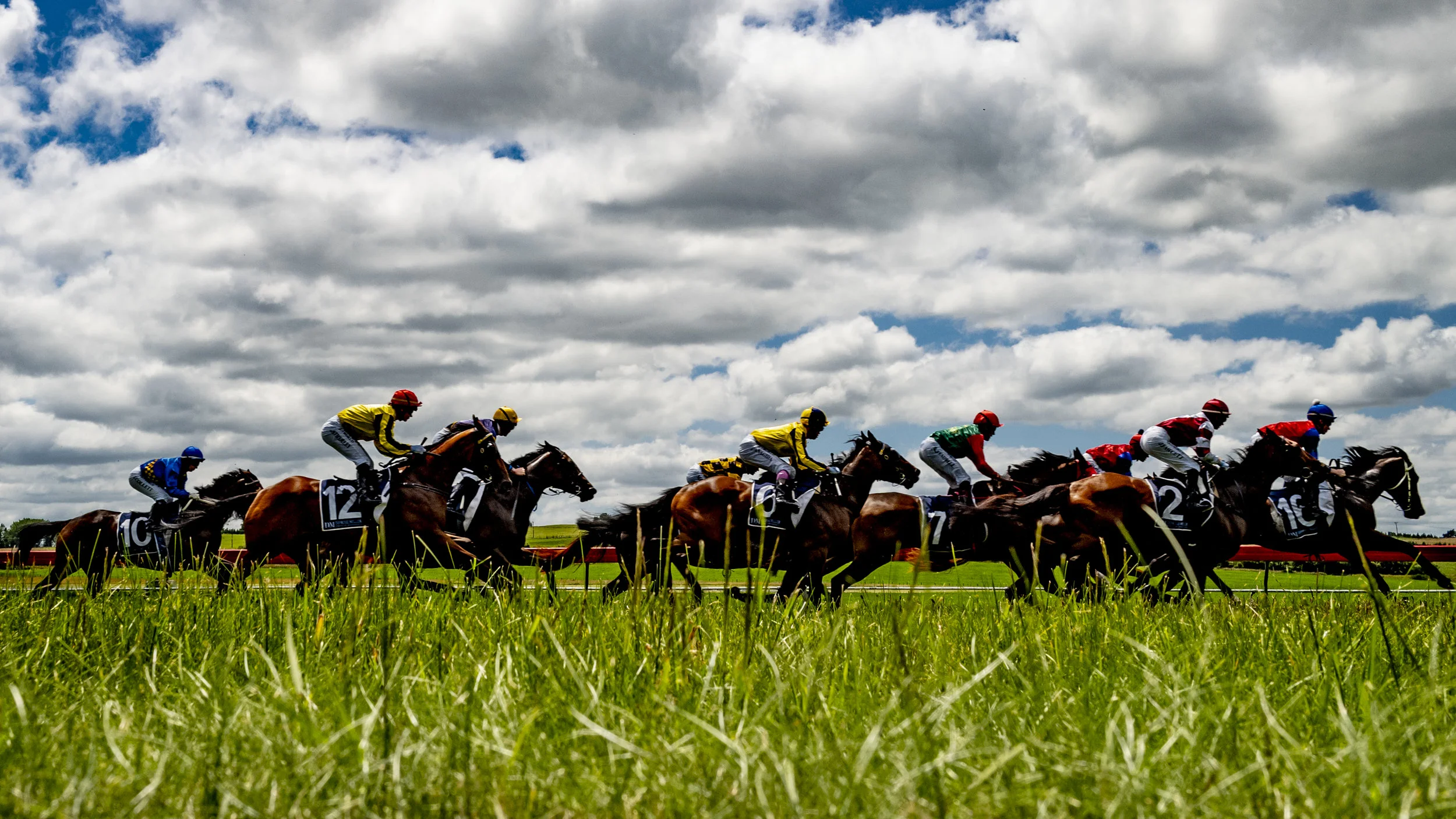 running horses.jpg