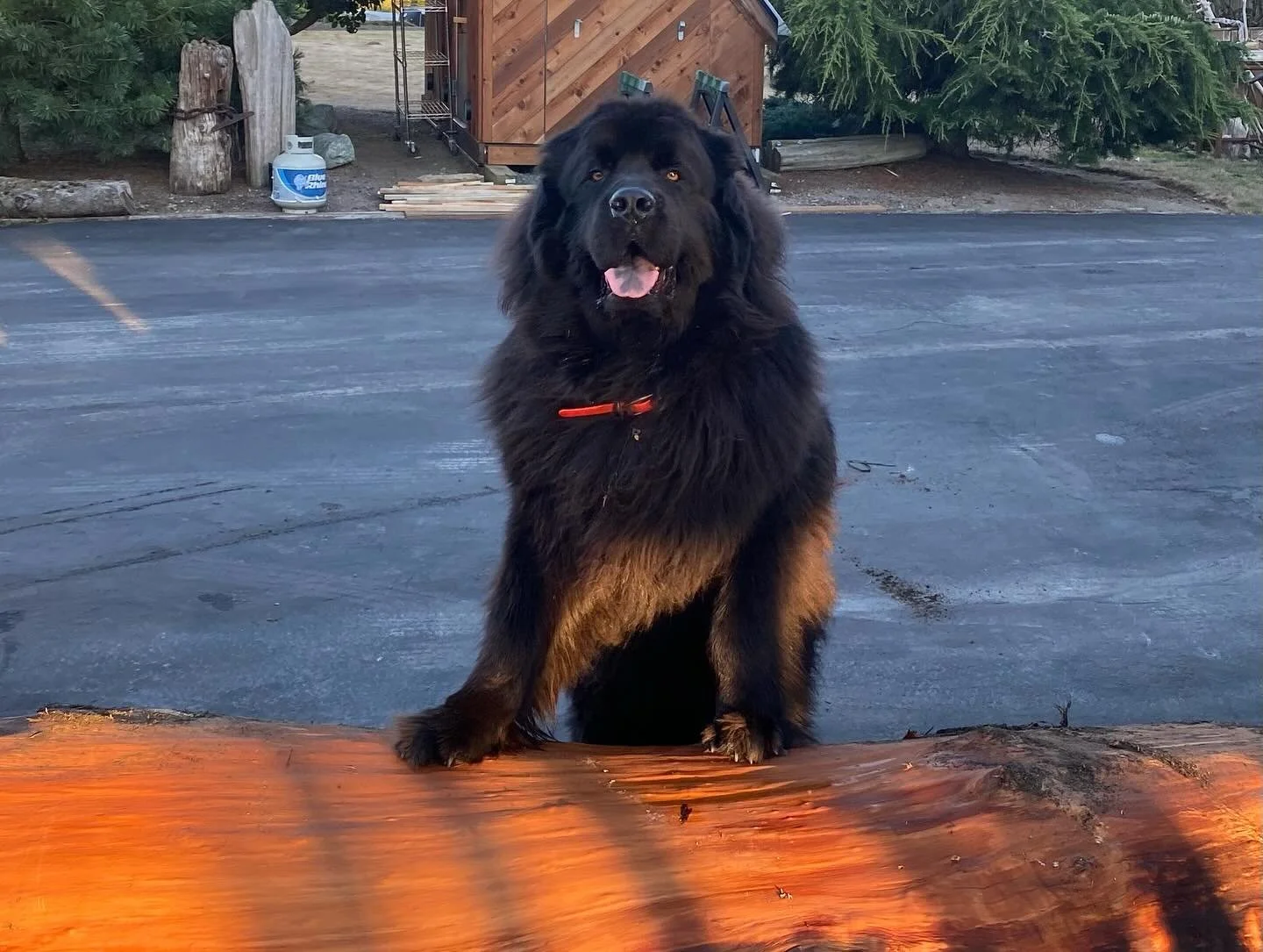 @Ranger_the_newfie says the pyramids would have been built faster if they had some PVC conduit