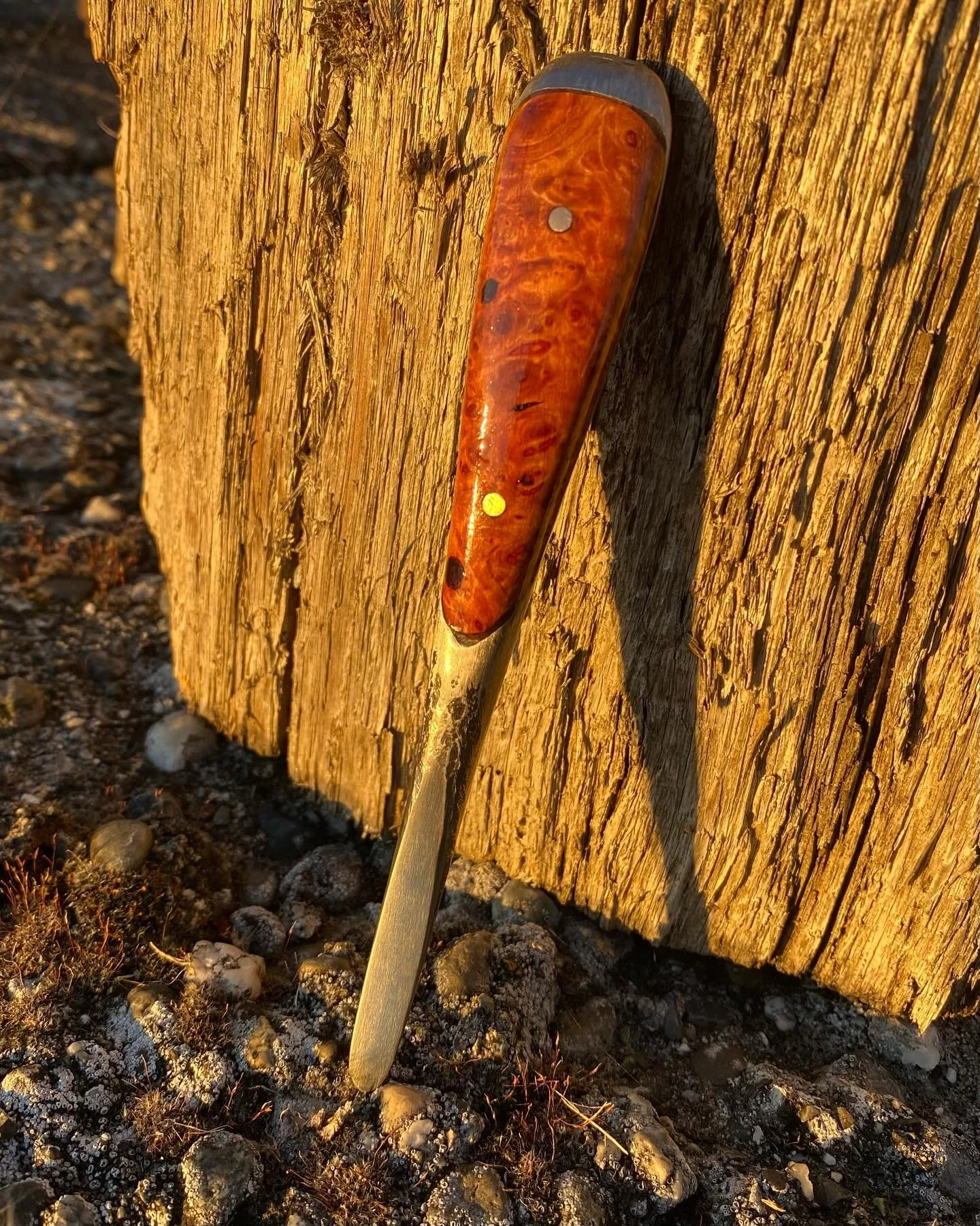 Them oysters are going to taste so much better 😜  #oysters #swinomishchannel #livingonchanneltime #perfecthandlescrewdriver @Totalboat burl cut on the @woodlandmills #sawmill #itsoktothinksmallsometimes