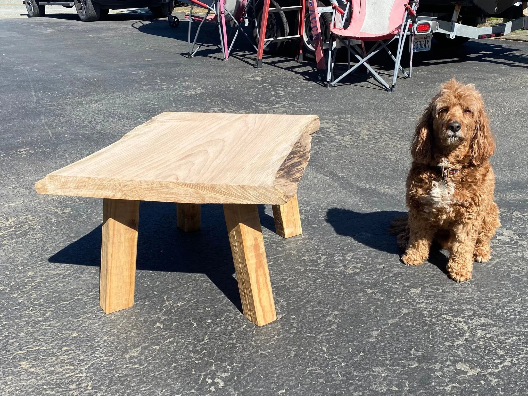 Slab offcut and some dunnage from work, and a few hours to kill.

No AI creators were harmed while posting this.

See it Skagit Wood Expo and Marketplace