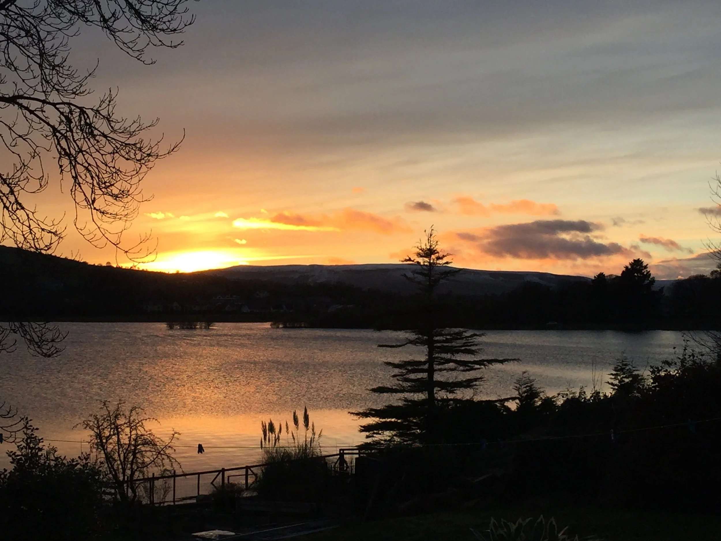 Newsletter November 2016