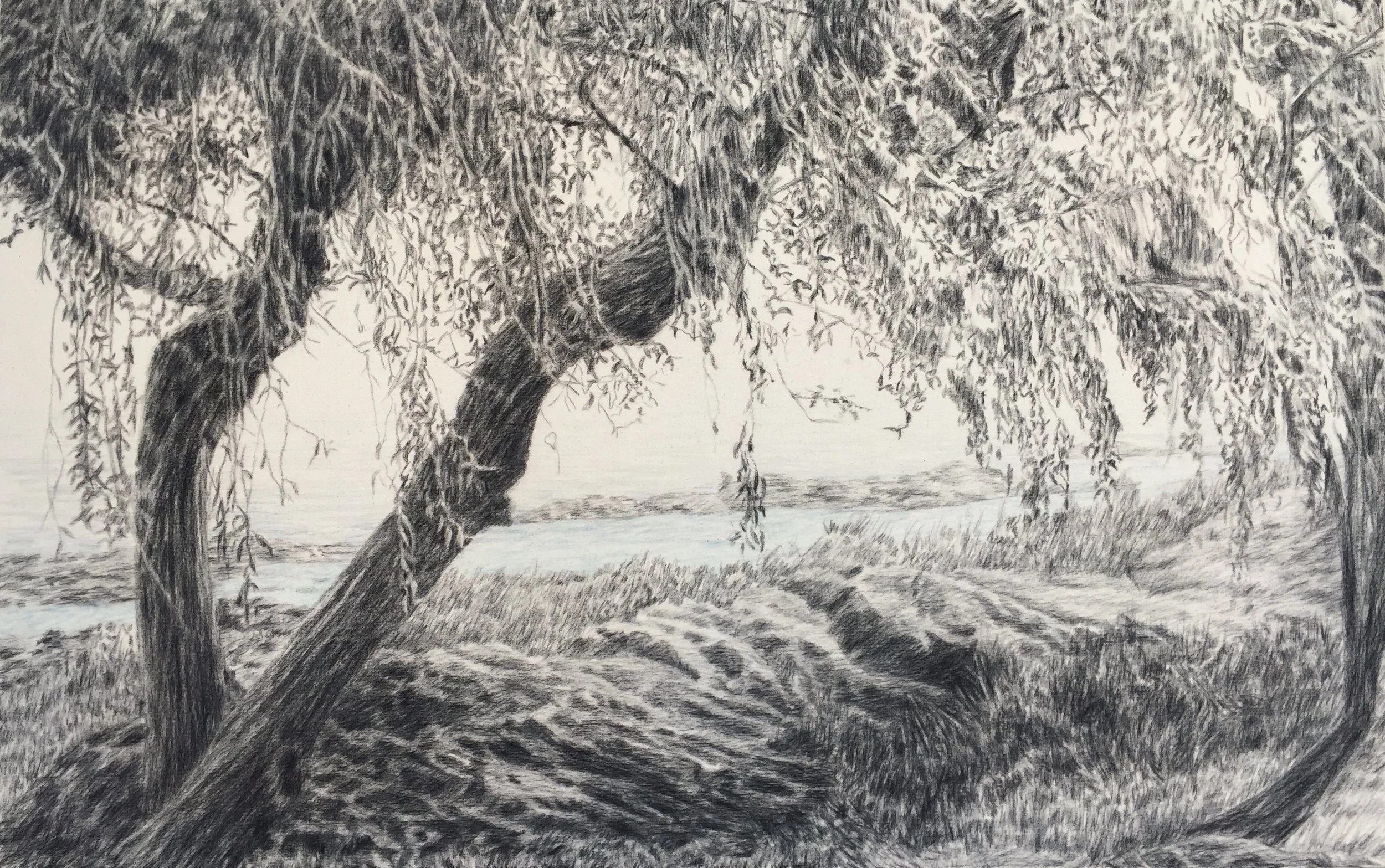 Colonia, 2018, 0.70 m x 1.10 m, Dibujo en carbón vegetal y pasteles sobre tela