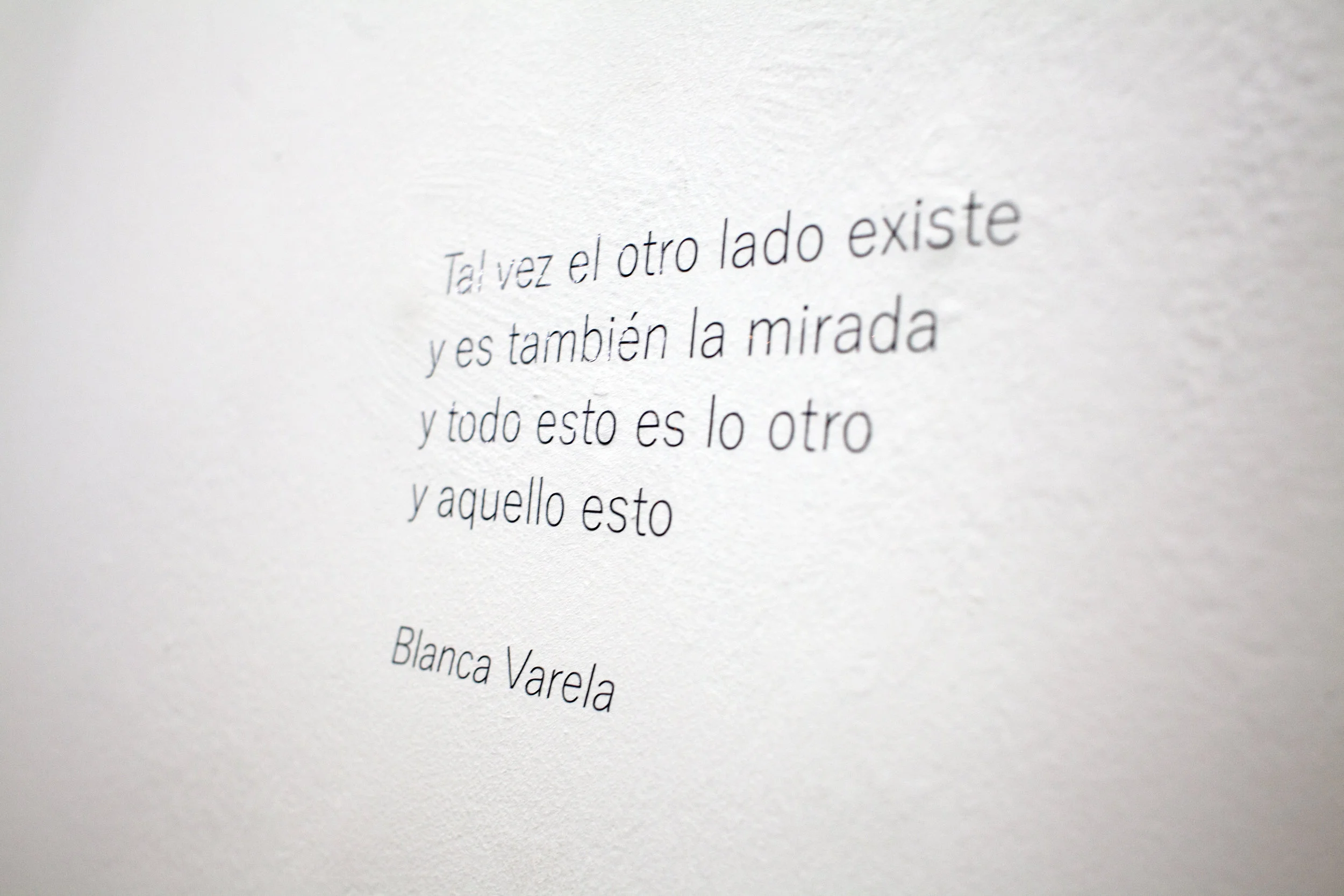 _MG_0901.jpg