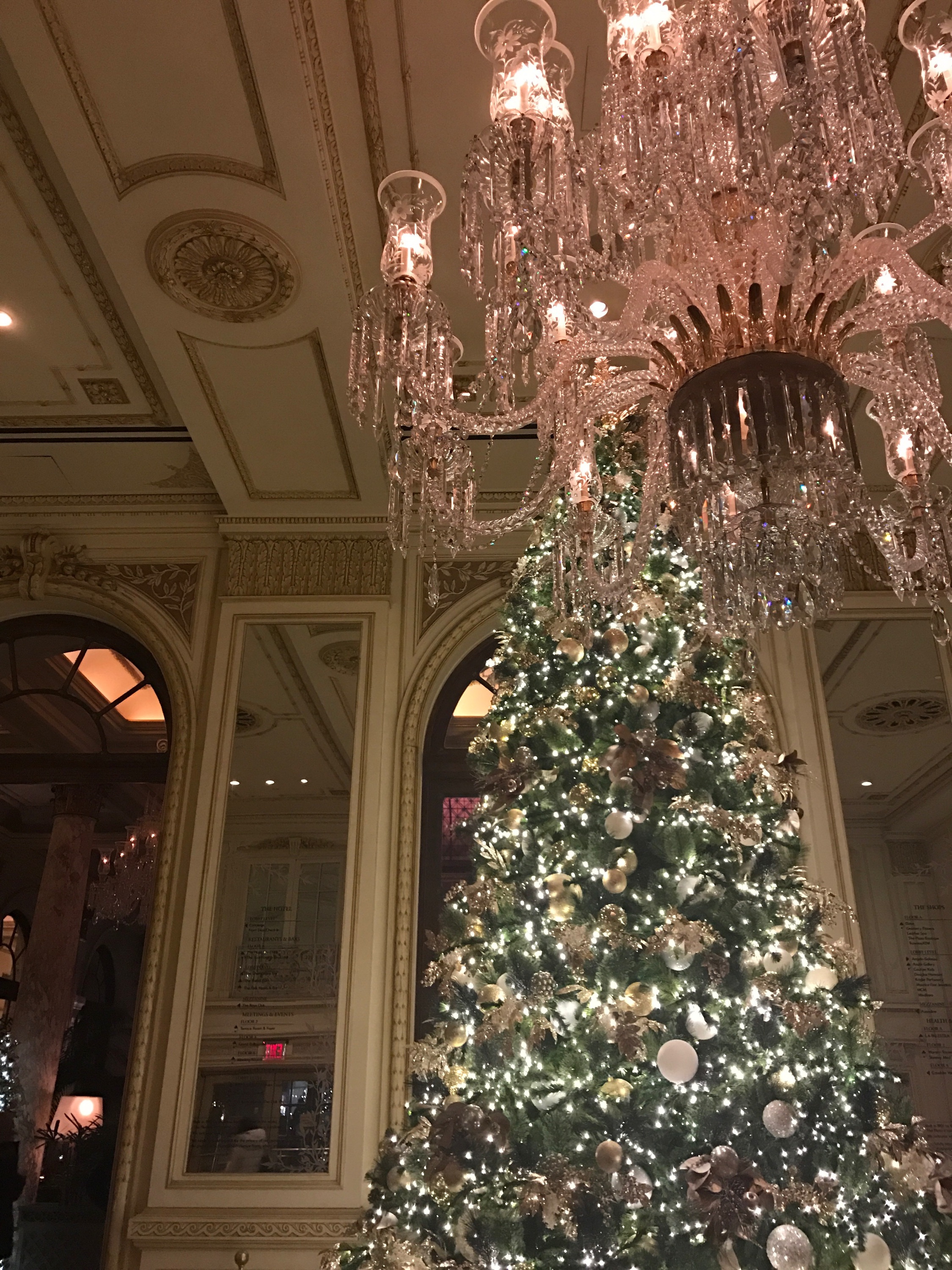 The tree at the Plaza Hotel