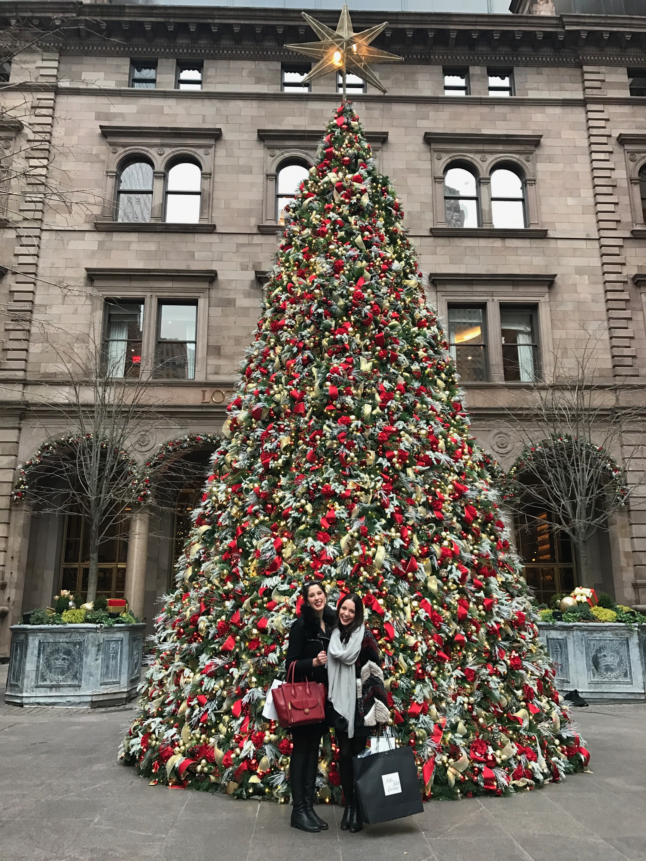 Posing in front of The Palace Hotel's Christmas tree... Has anyone seen Serena? 