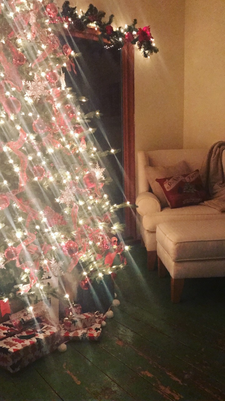 My mom's beautiful Christmas tree!