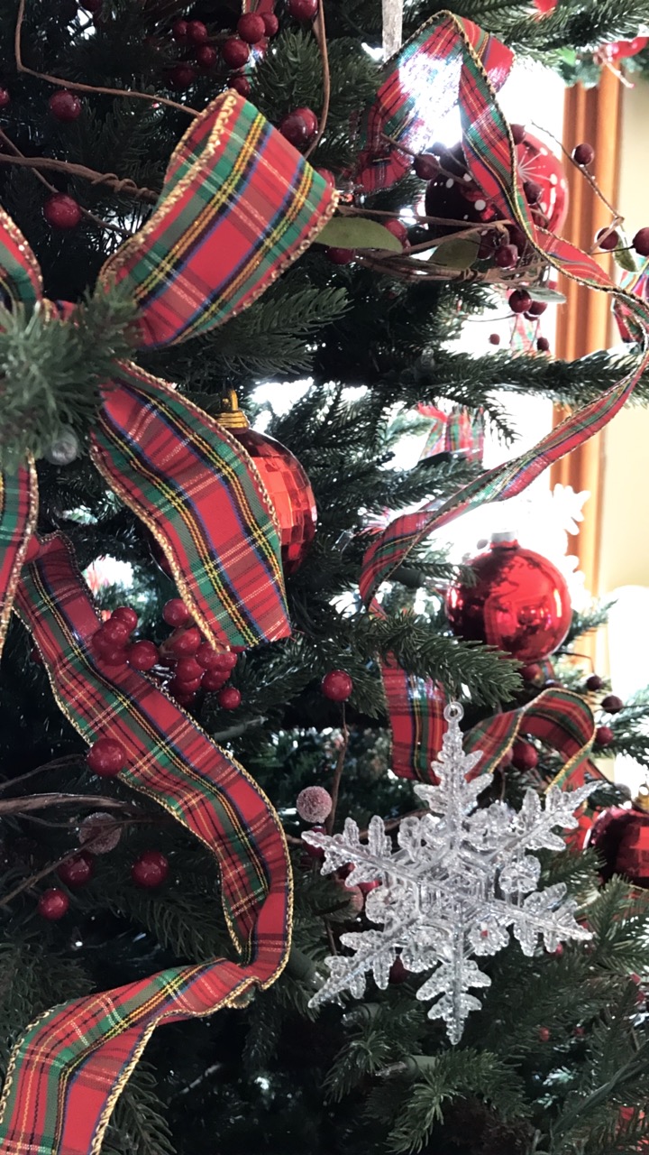 A detail shot of my mom's beautiful Christmas tree. 