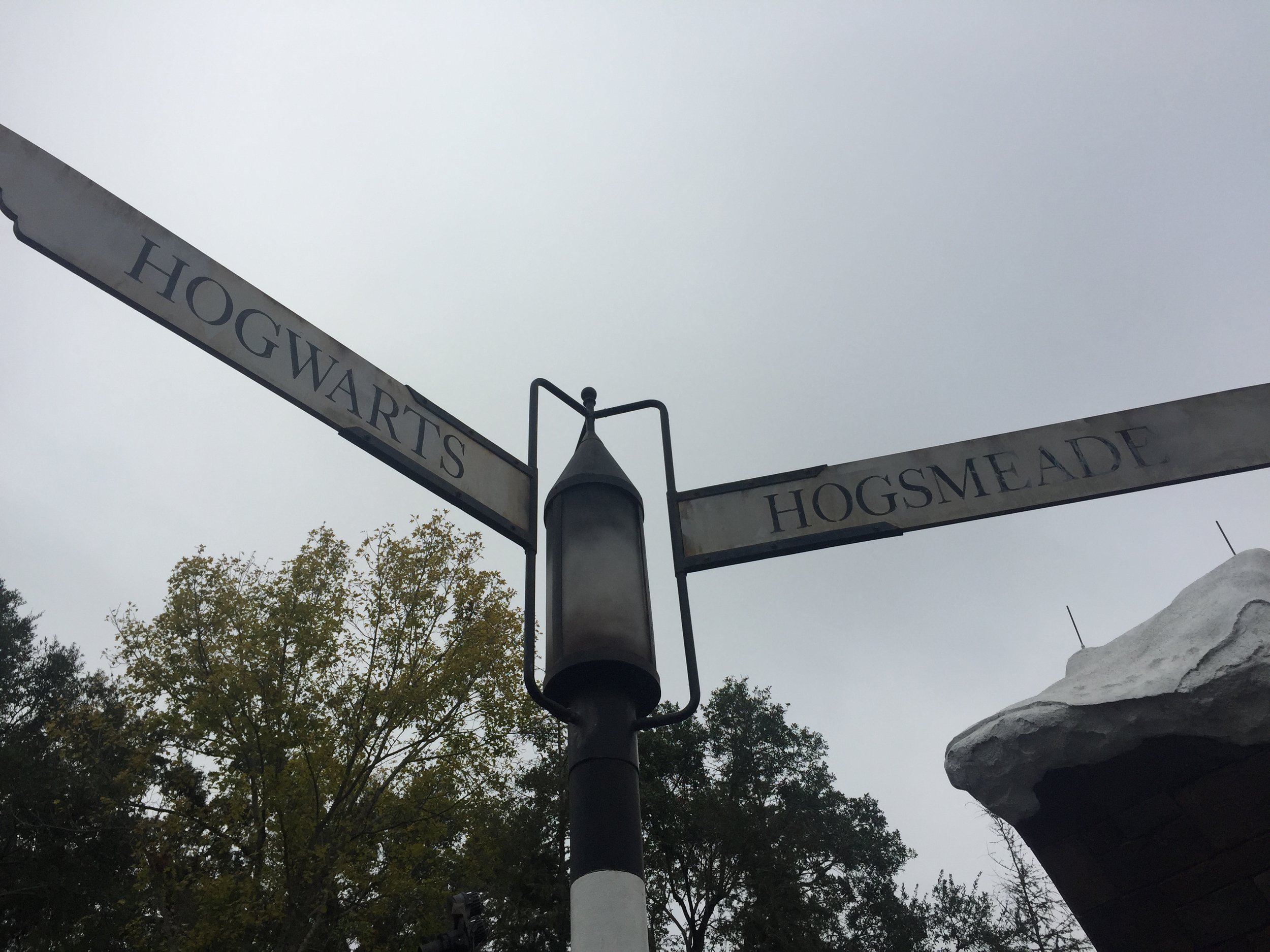 One of Vanali's most memorable experiences was visiting Harry Potter World in Orlando, FL. 