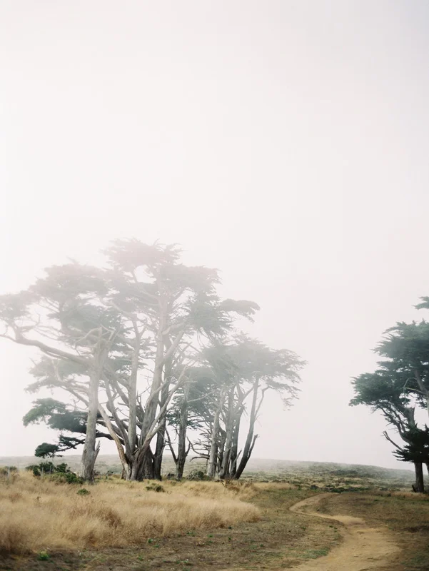california-10.jpg