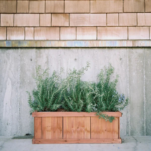 california-16