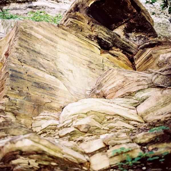 tennessee-05