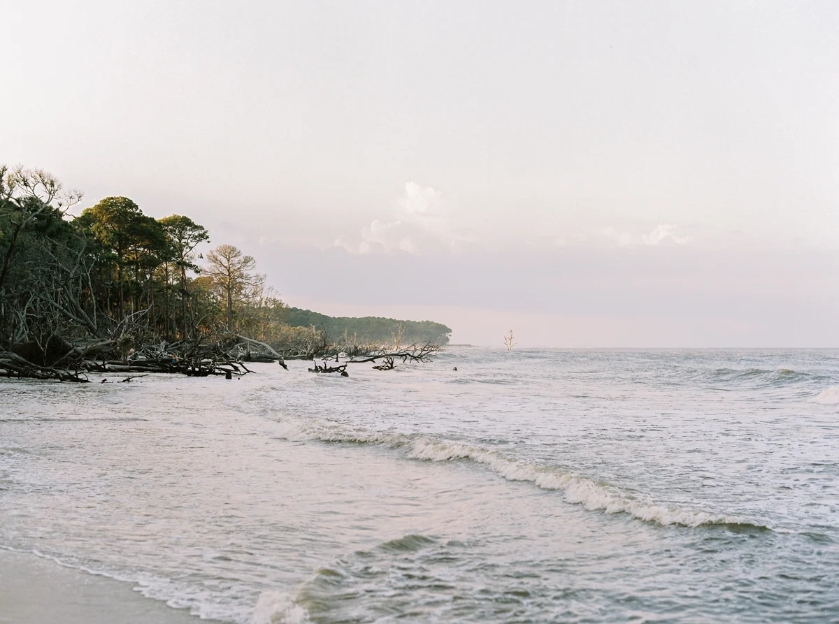 hunting-island-inspiration-037.jpg
