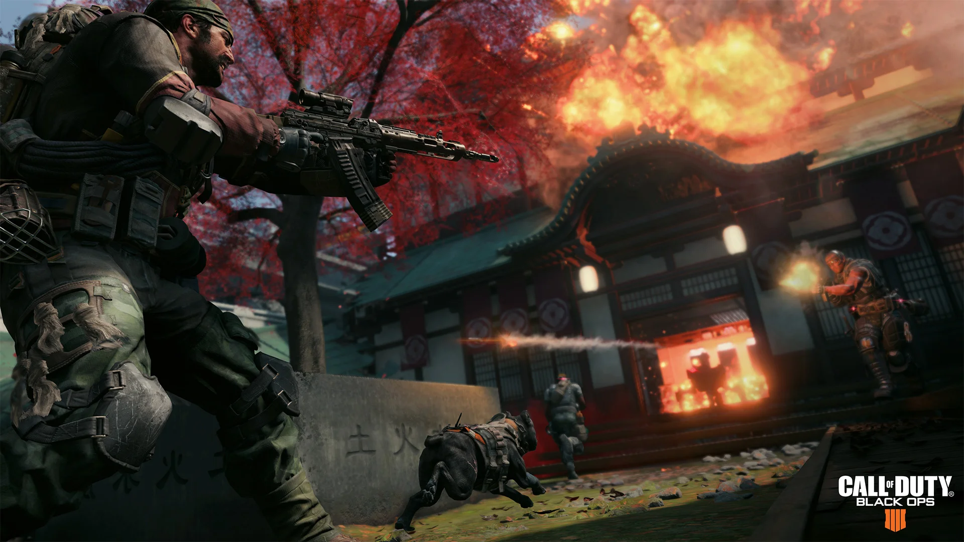 Black_Ops_4_Multiplayer_Beta_screenshot1_1533305972.jpg