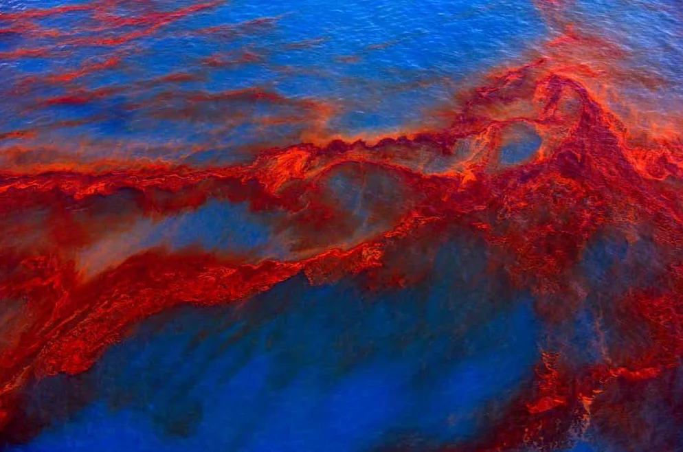 Oil from Deepwater Horizon Spill on the Gulf of Mexico