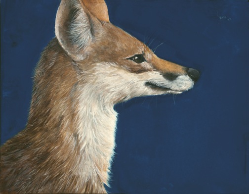 Fox, 2014, watercolor on paper: 7 1/8" x 9 1/8", sold