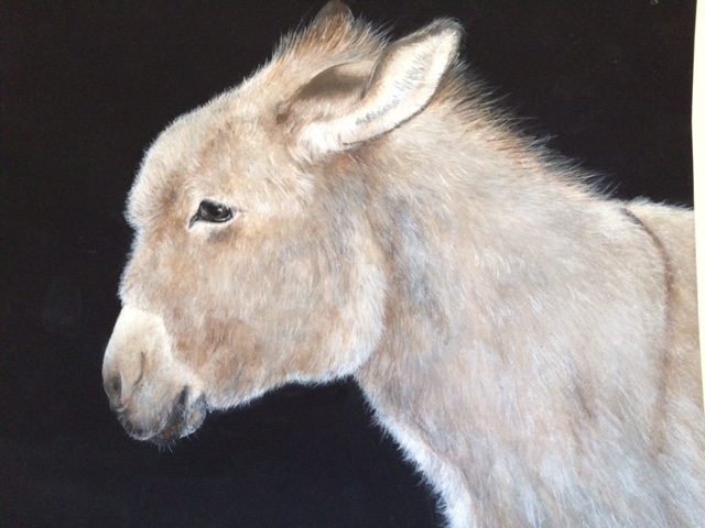  Ruby the Donkey, 2015,&nbsp;watercolor on paper: 9 1/2" x 12", sold 