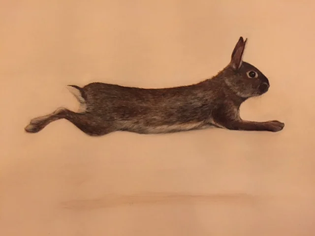  Lapin Agile #2, 2015,&nbsp;watercolor on paper: 14" x 25", sold 