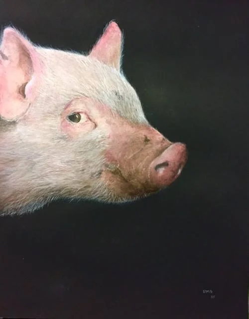Piggy, 2014, watercolor, sold