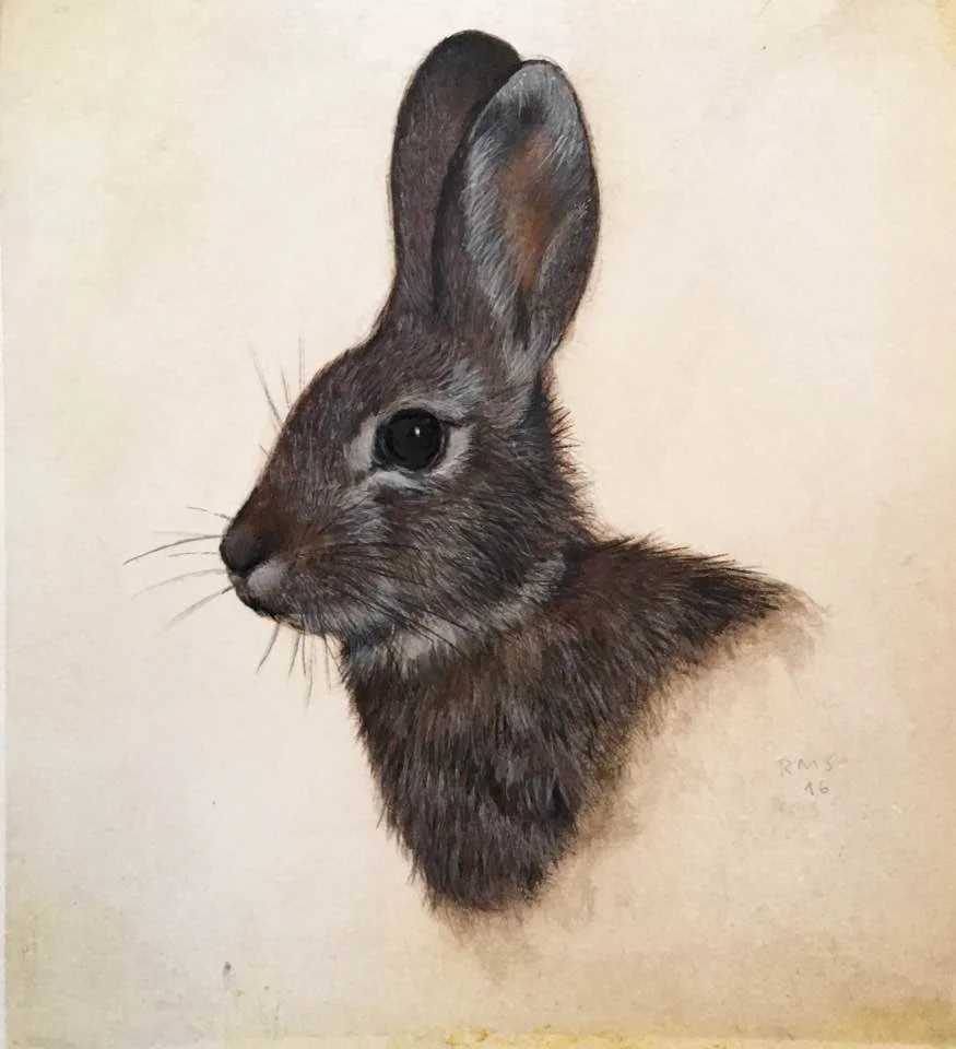 Eastern Cottontail, watercolor on paper: 7" x 6 1/2"
