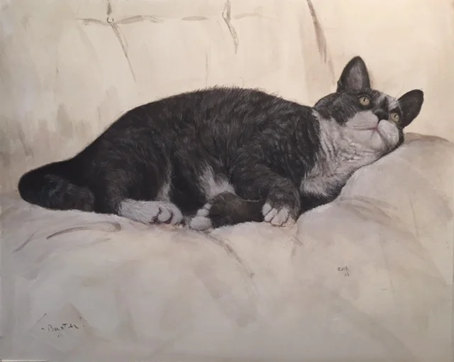 Baxter the Cat, 2016, watercolor on paper, commission, sold