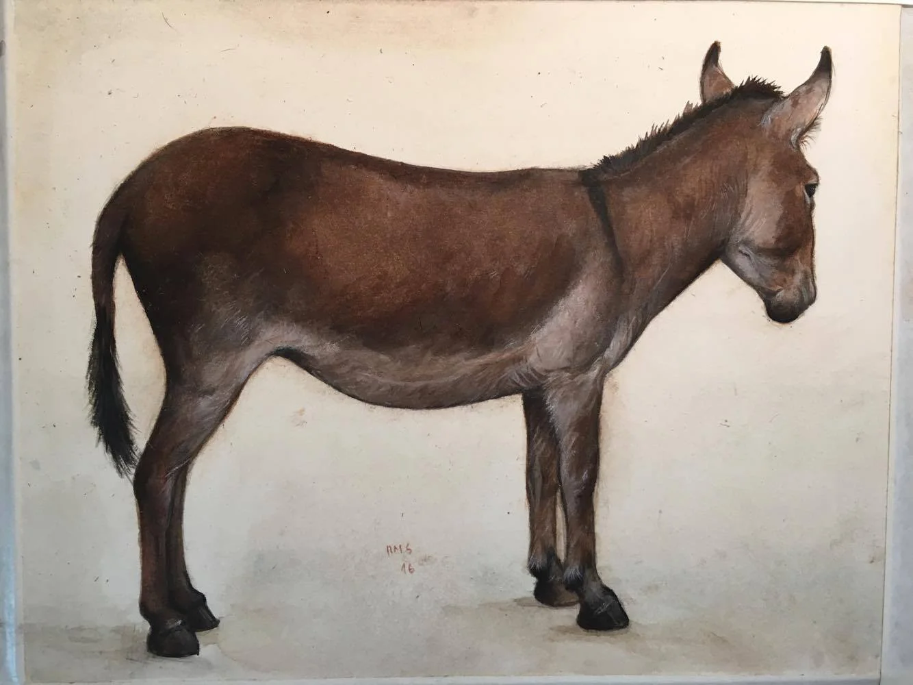 Donkey, 2016, watercolor on paper: 6 1/4" x 8"