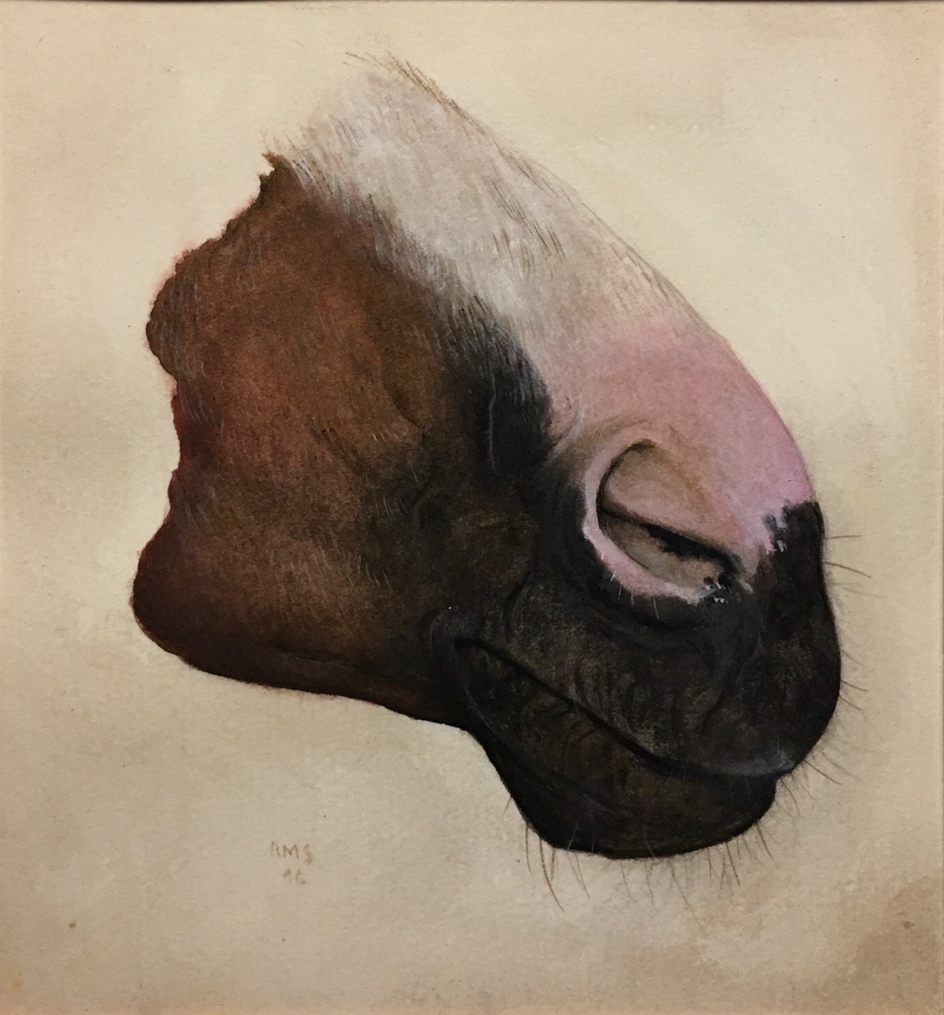 Horse Study, 2016, watercolor on paper: 7" x 6 1/4"