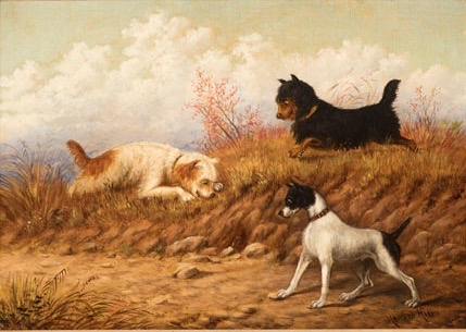 Hill_Chasing the Gopher.jpg