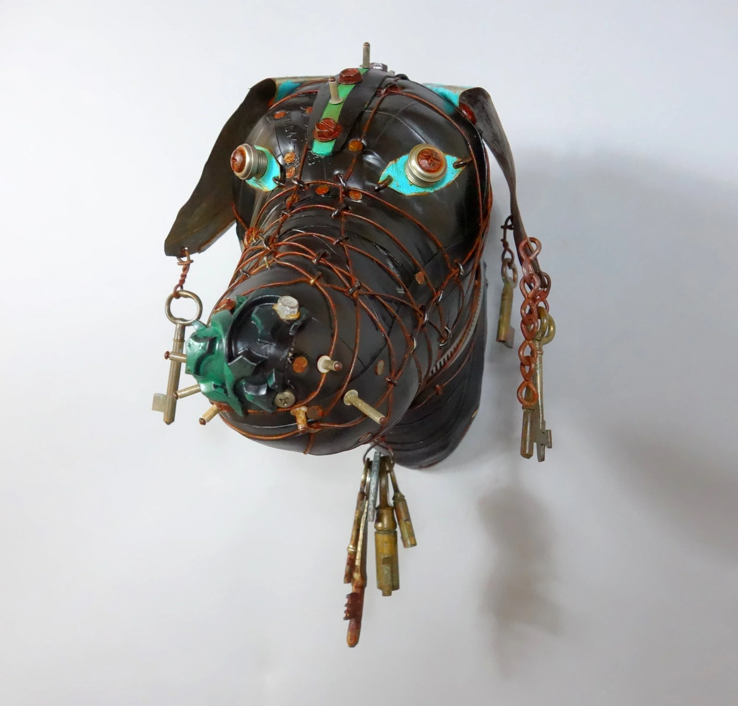 Buffel will not bark front.JPG