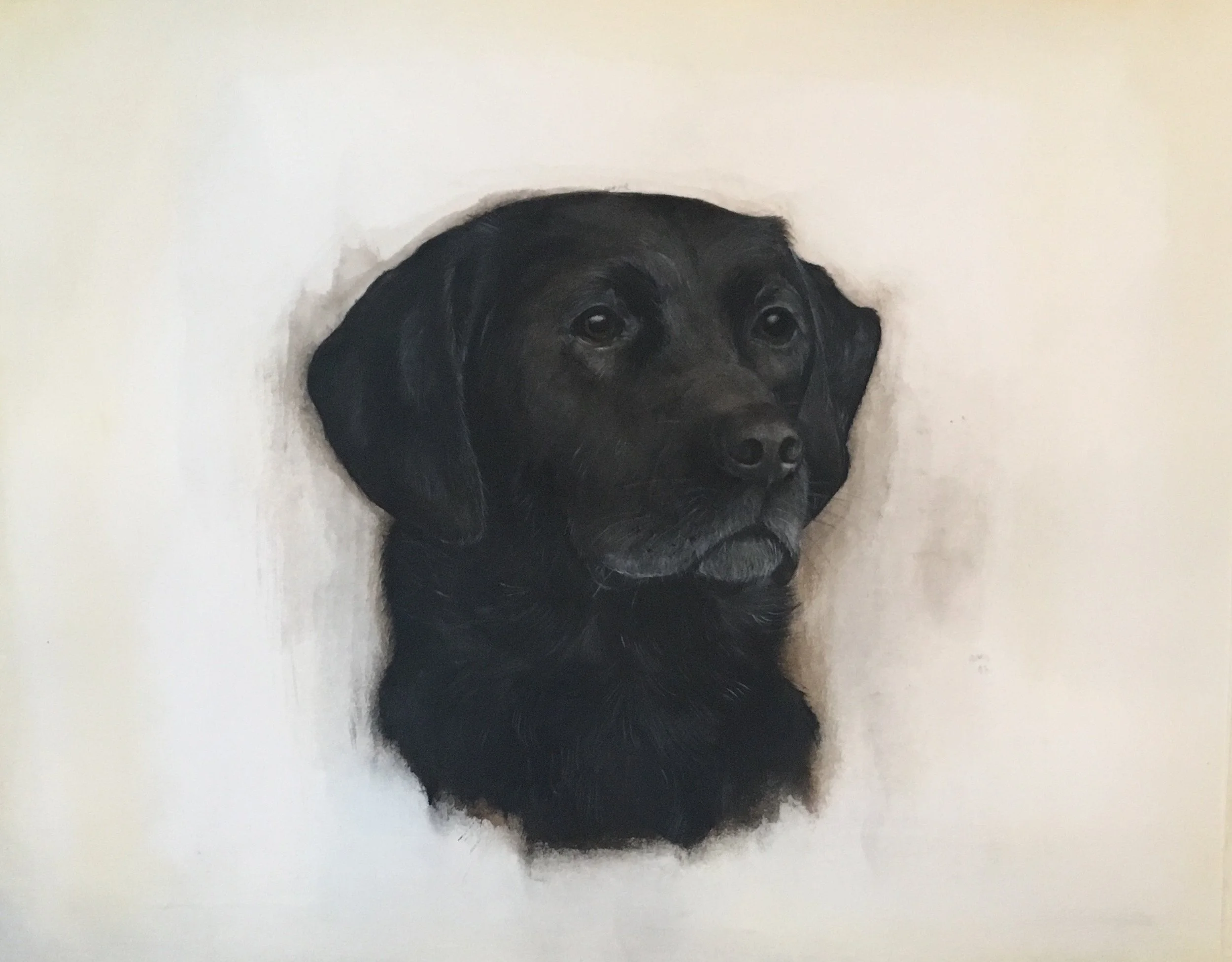 Cara, 2017, watercolor on paper: 12 5/8 x 17 inches