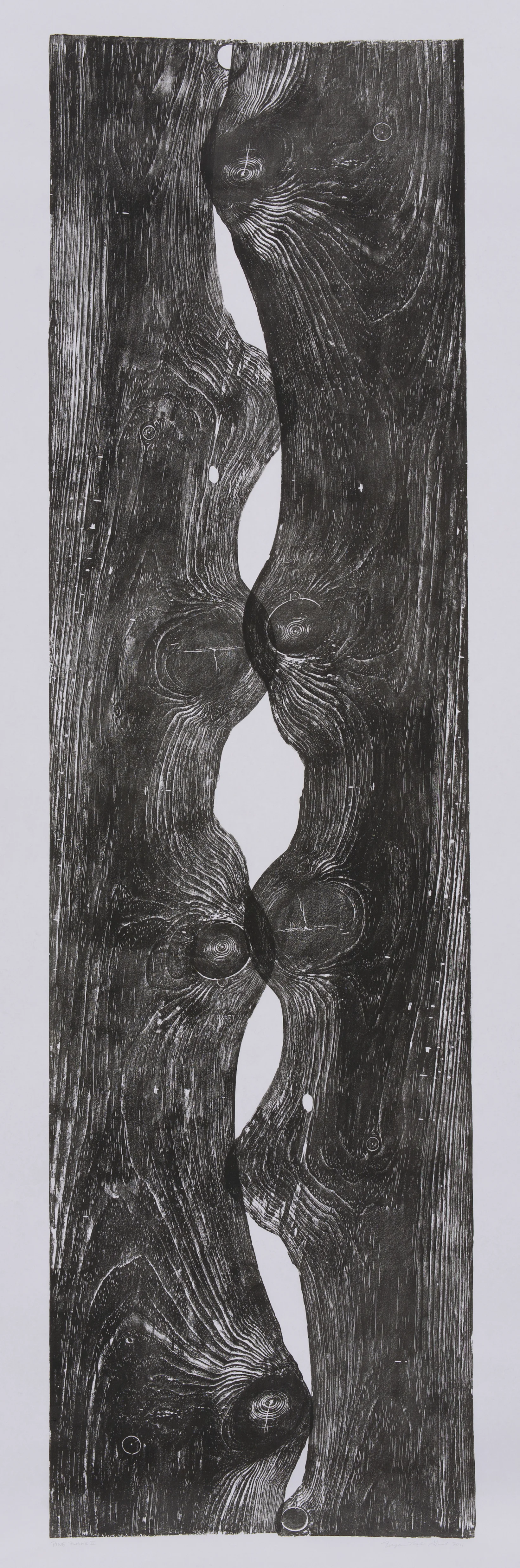 Bryan Nash Gill , Pine Plank II , 2011, relief print, framed size: 78 3/4 x 29 9/16 inches