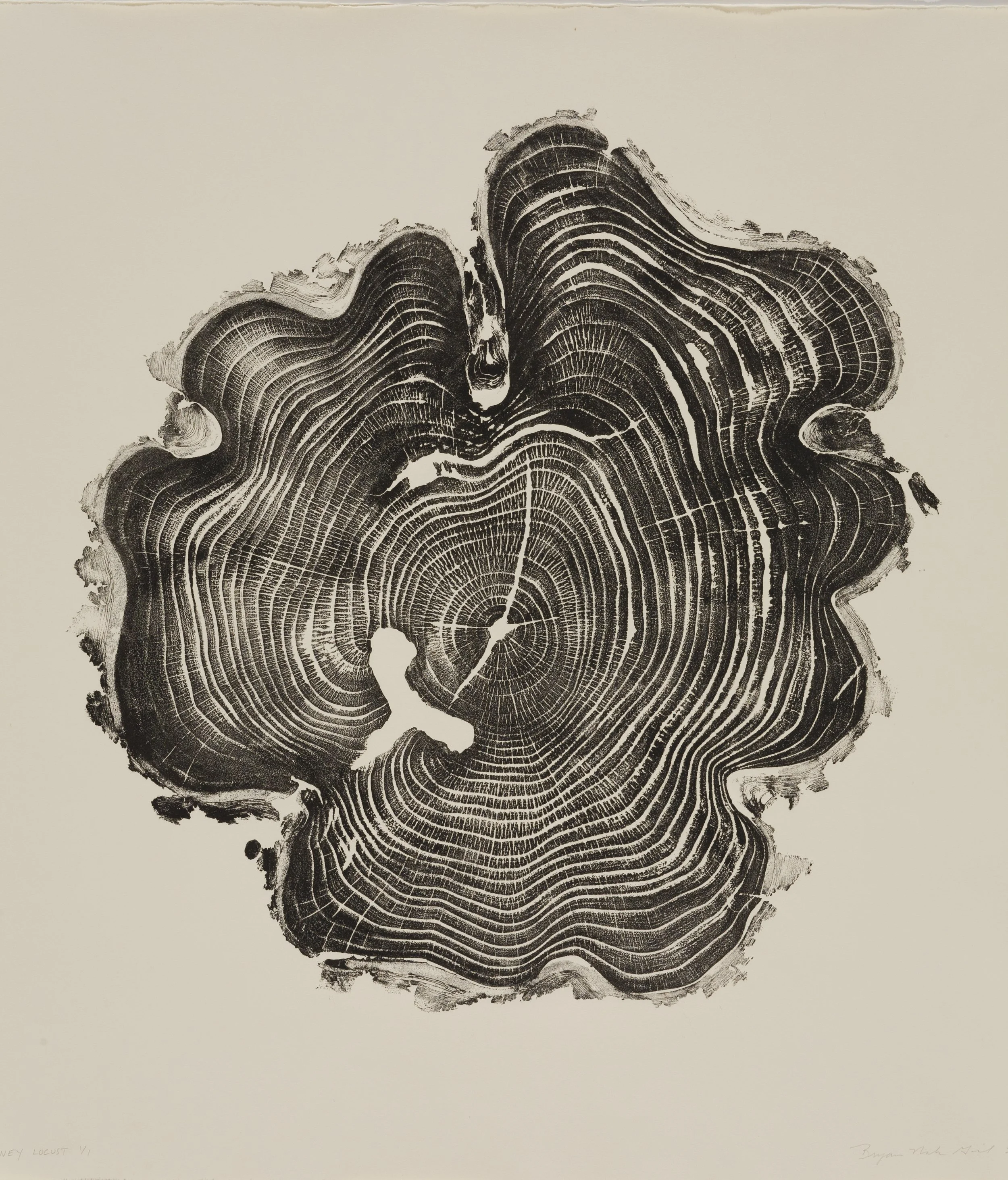 Bryan Nash Gill , Honey Locust, 2012, relief print: framed size: 26 15/16 x 27 1/8 inches