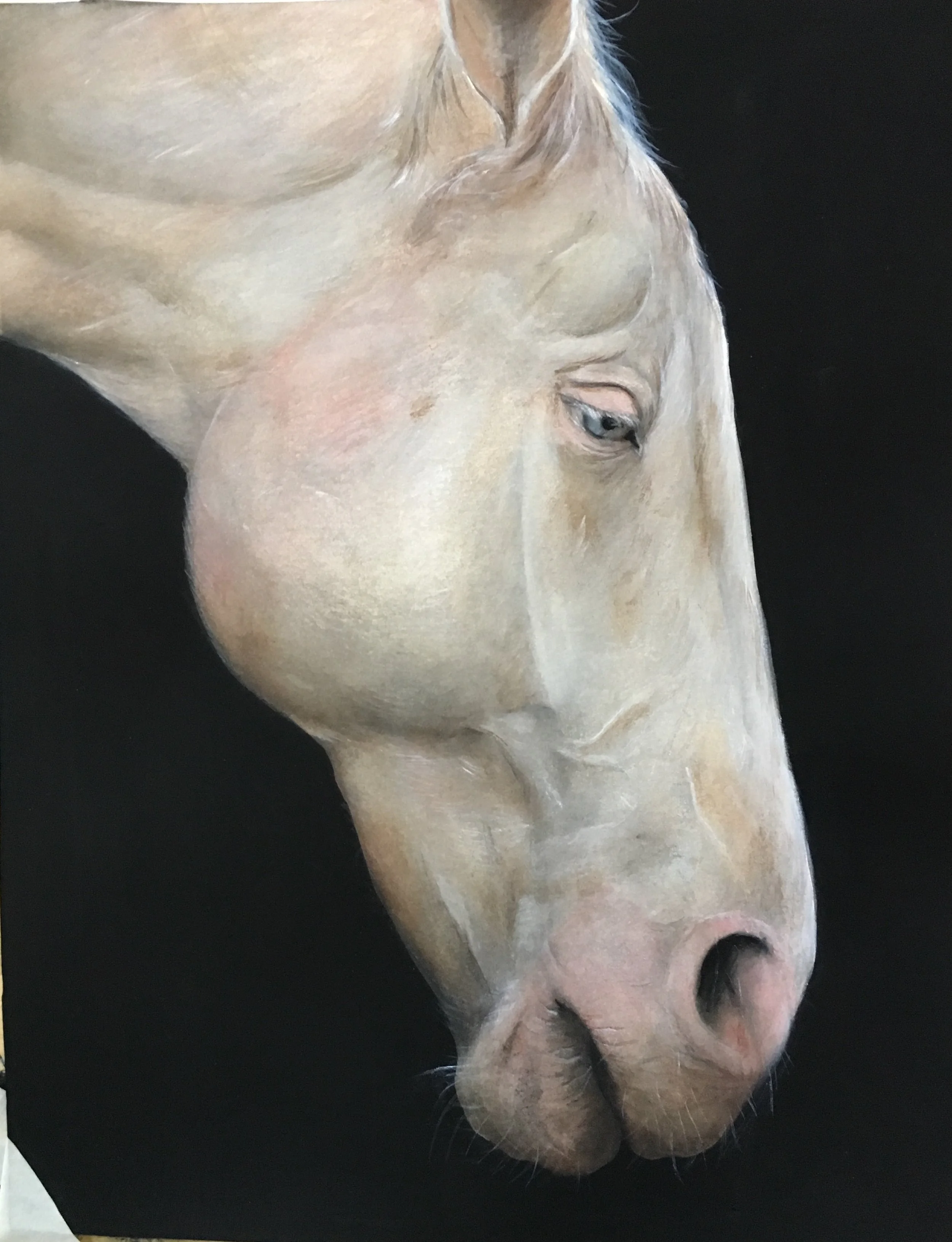 Rafael McKenzie Soares , White Horse , 2017, watercolor on paper: 13 1/4 x 10 1/2 inches