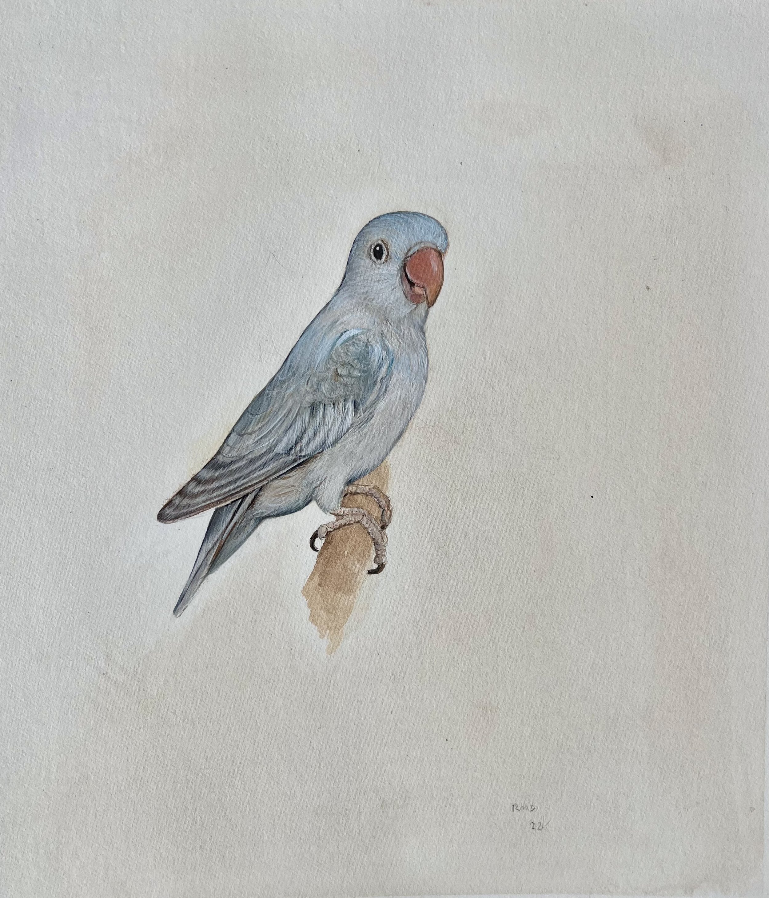 Rafael Soares, Love Bird