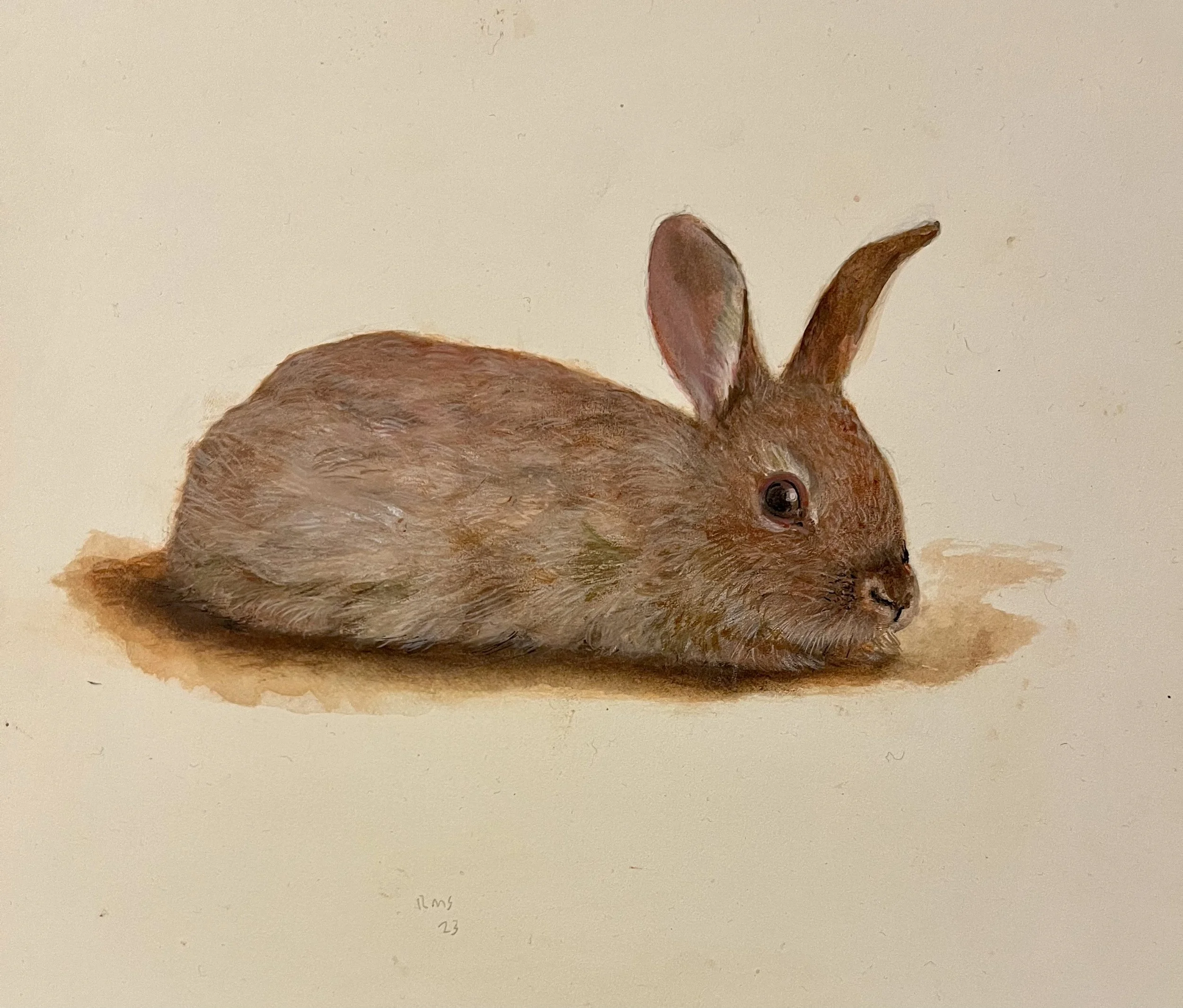 Rafael Soares, Resting Rabbit, 2023