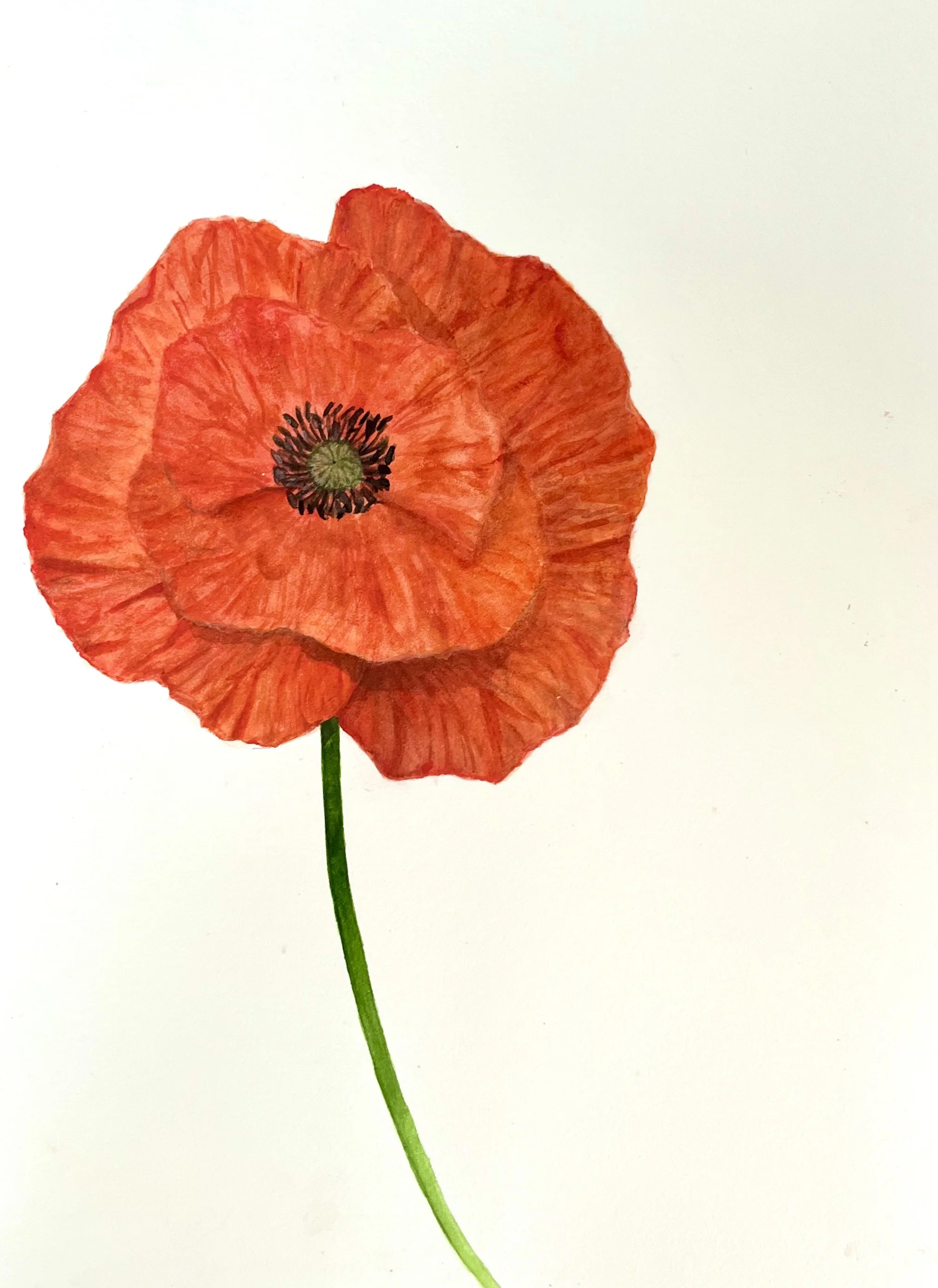 Rafael Soares, Poppy, 2023