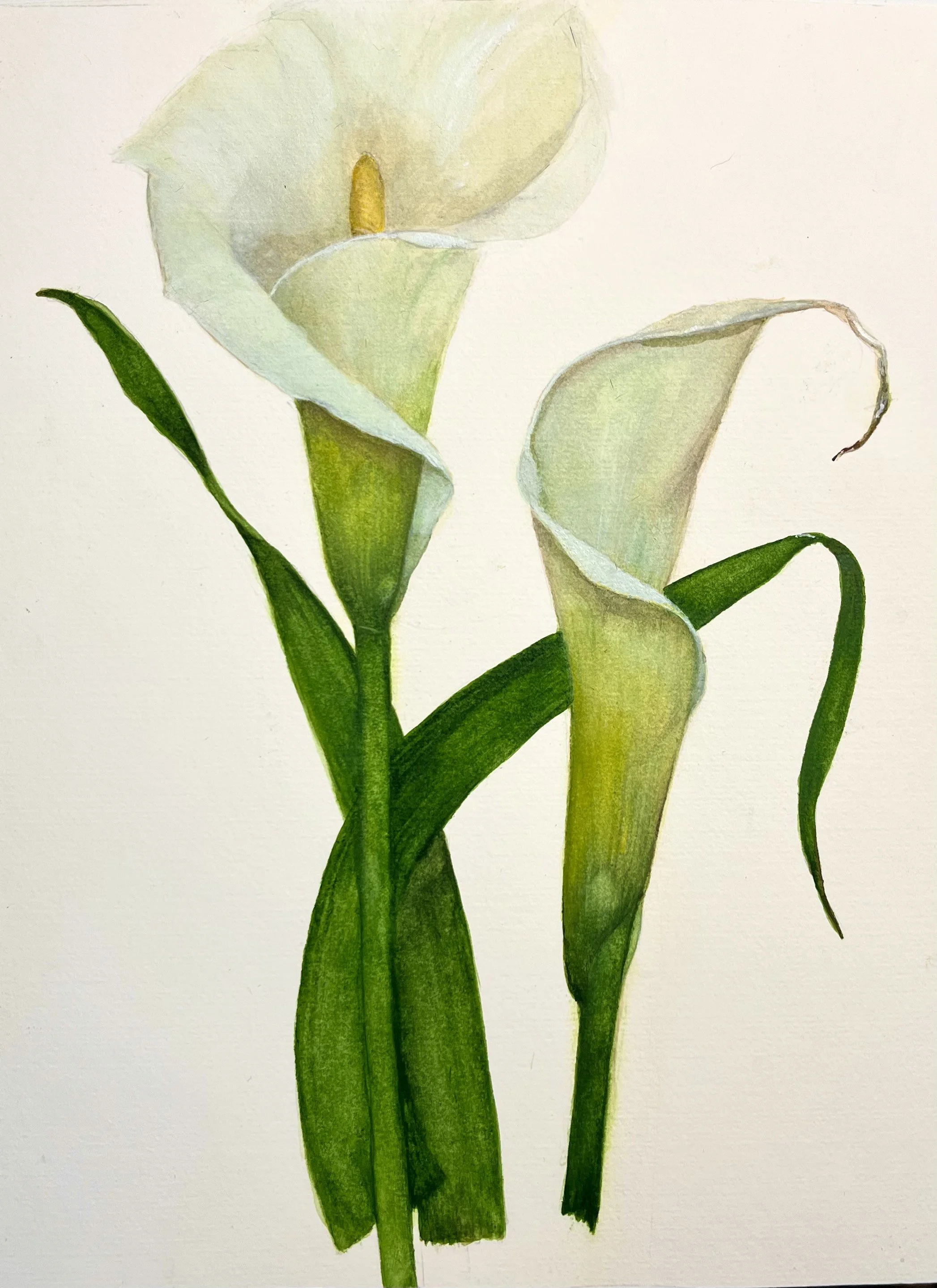 Rafael Soares, Calla Lilies, 2023