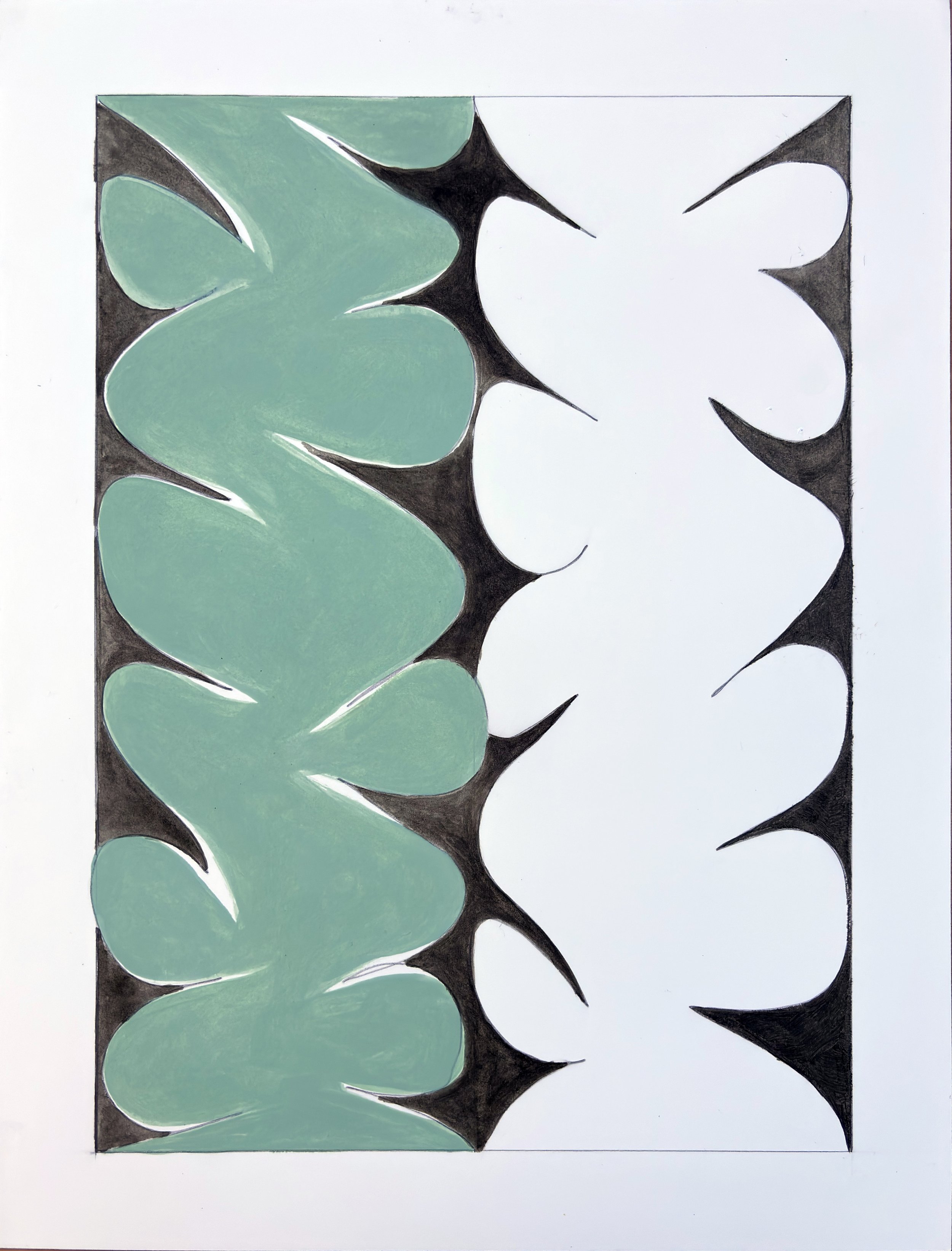 Agave, v.1, 2025 Acrylic and pencil on paper: 16 x 12 inches