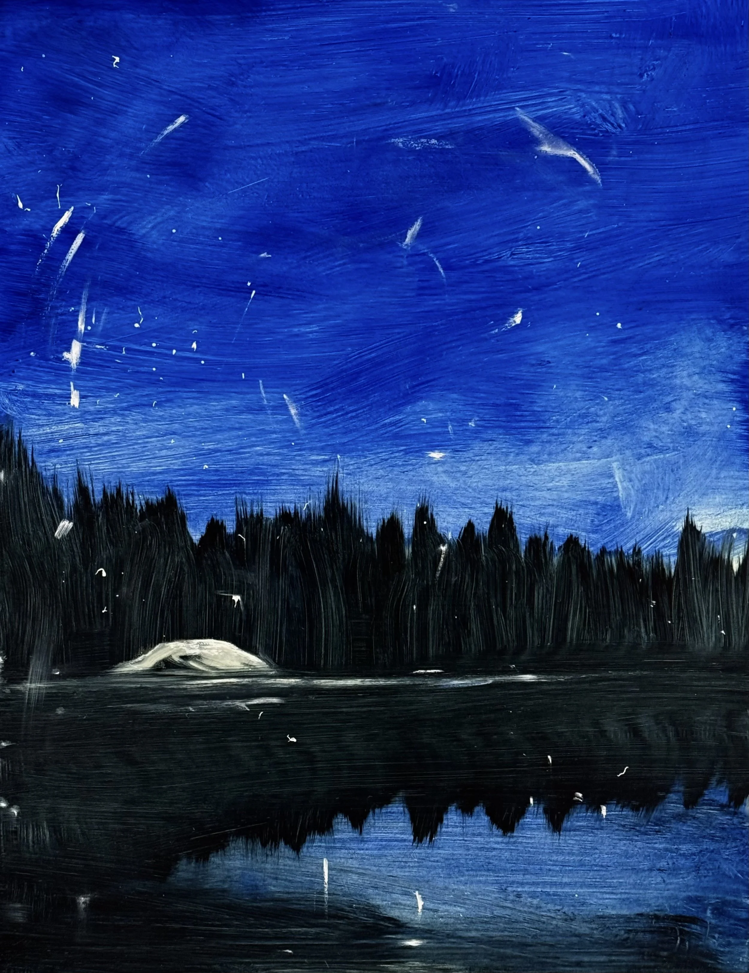 Williams_Night Bird_oil on panel_11%22 x 14%22_2026.jpeg