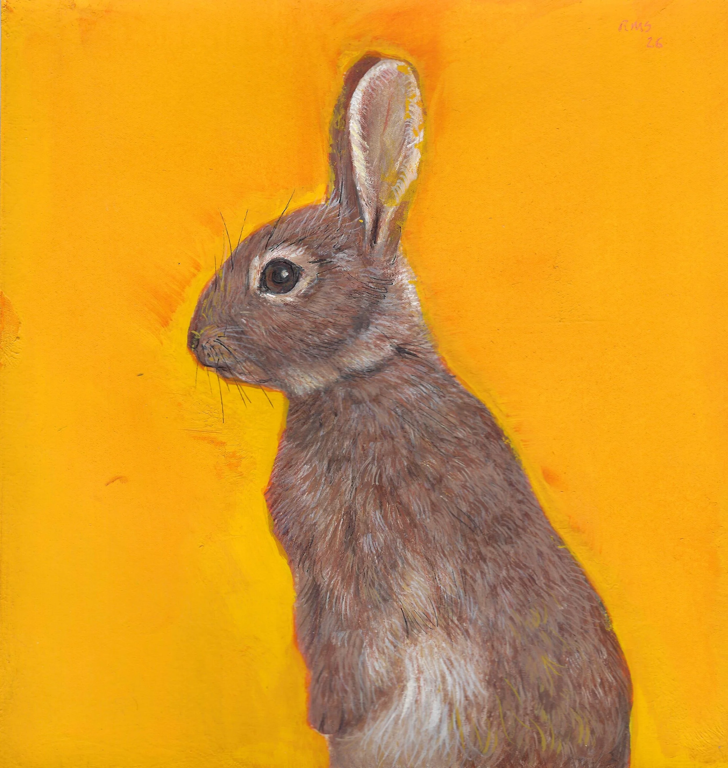 Soares Bunny yellow.jpeg