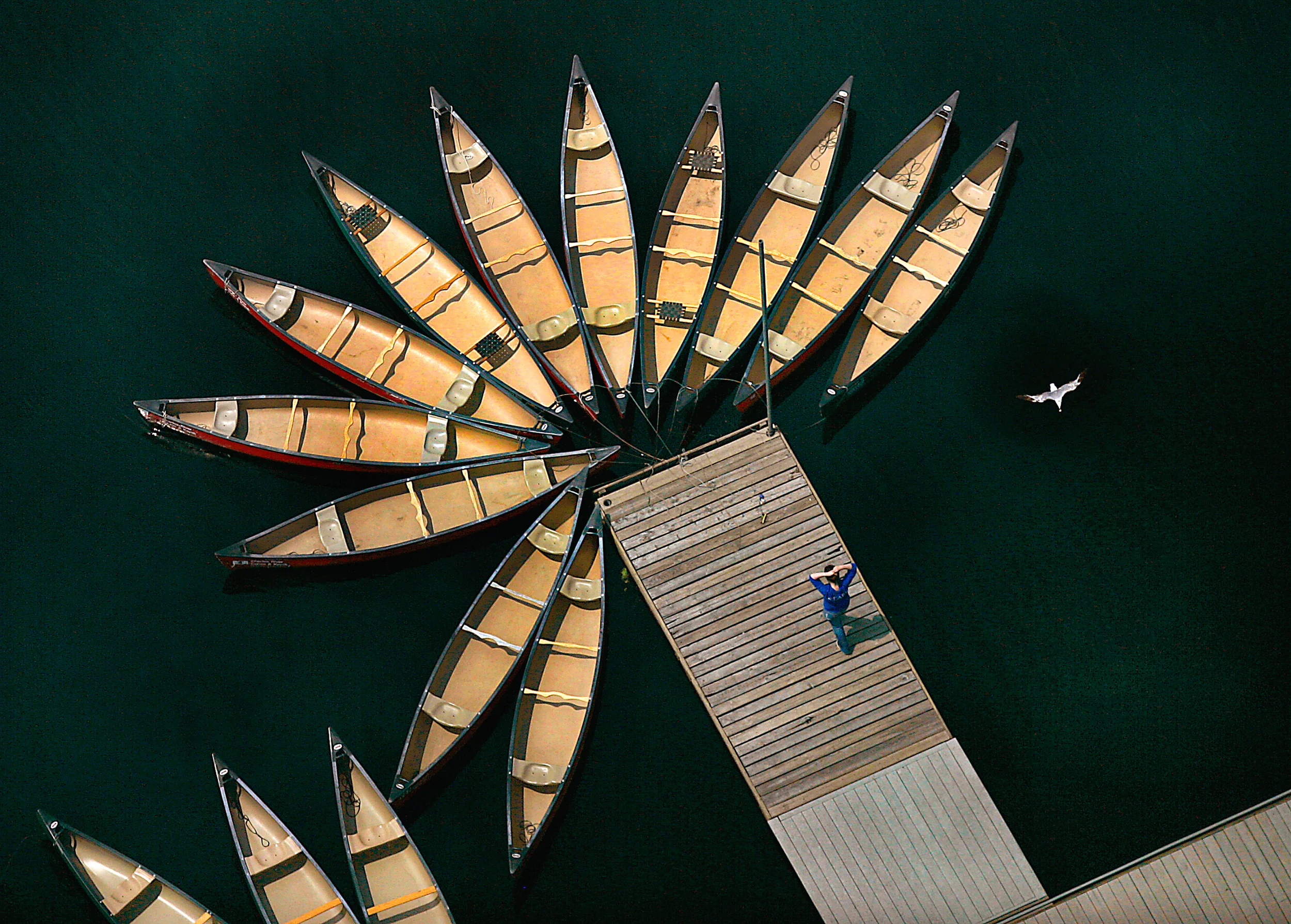 Summer Time Pattern.jpg