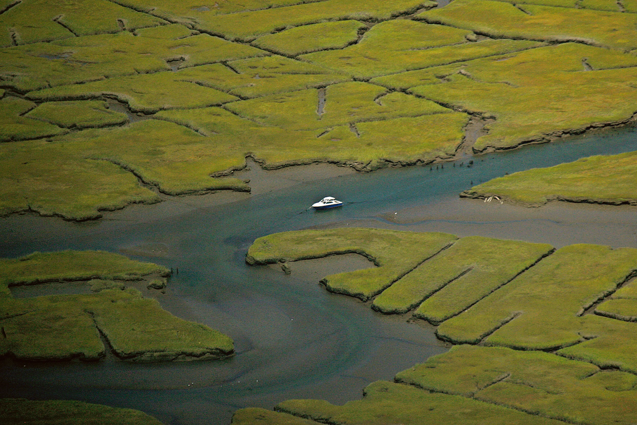 All Lines and Curves.jpg