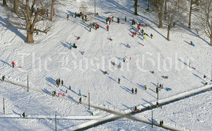 Sledding-On-Boston-Common-W.jpg