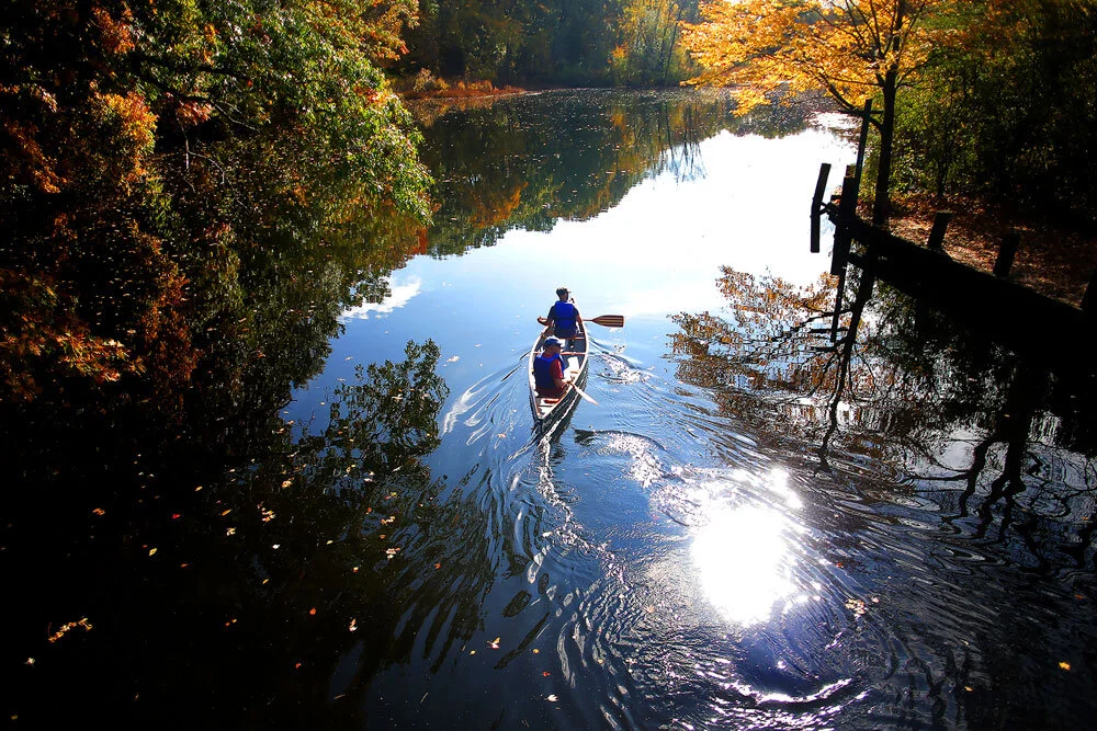 Canoeists-on-the-Charles(W).jpg