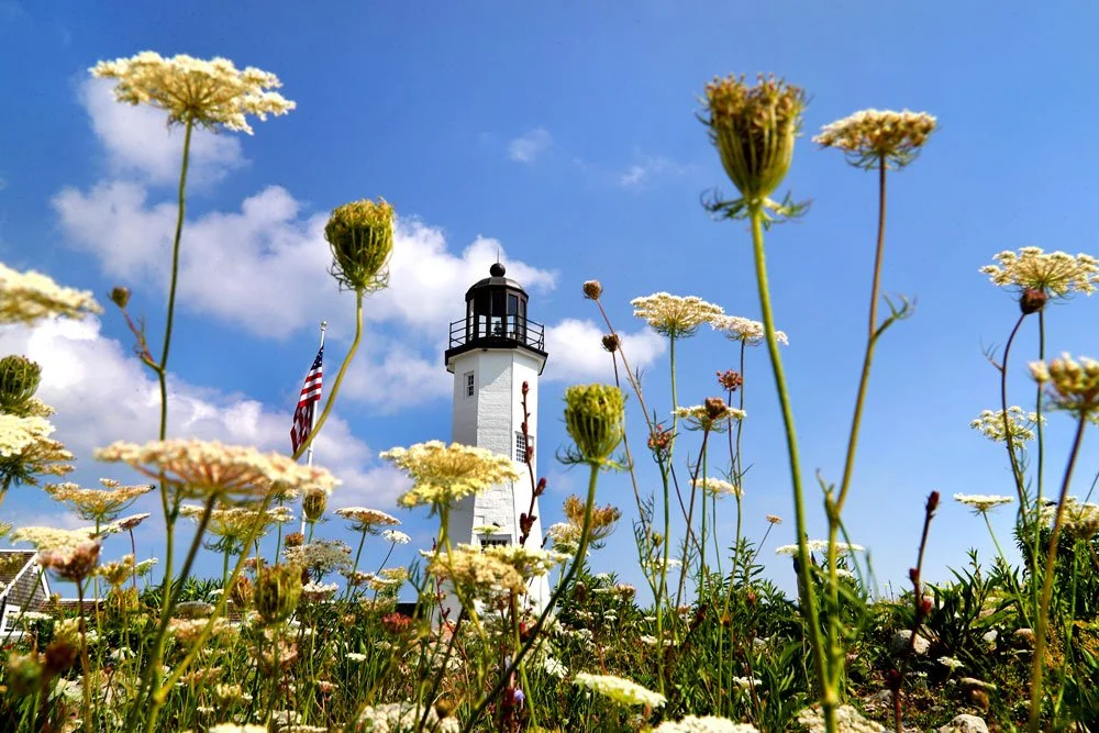 (W)tlumackilighthouse33.jpg