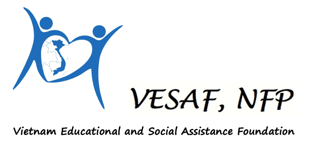 VESAF letterhead.png