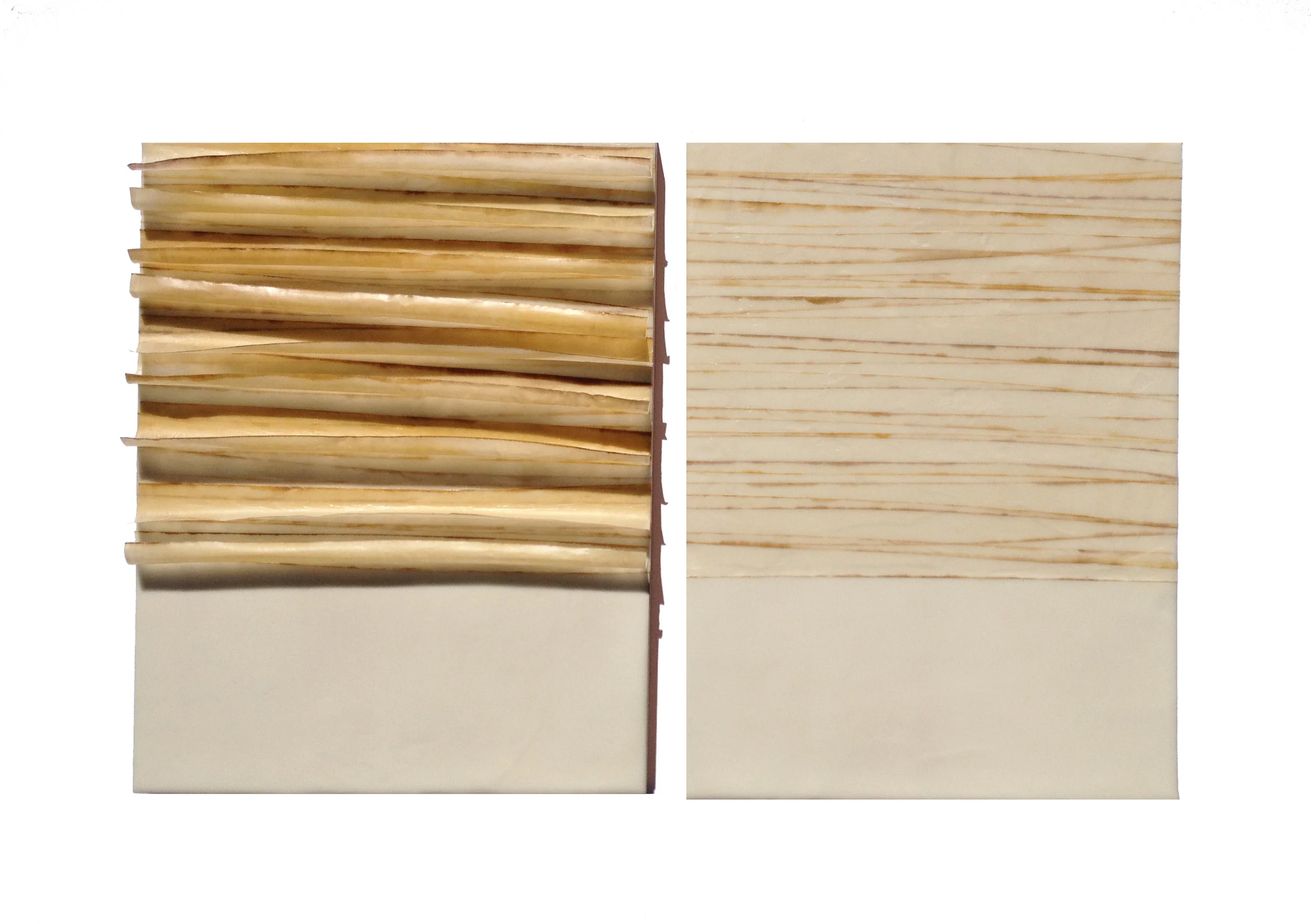 Veneer, 2014 Encaustic, Mulberry Paper, Watercolor 24" x 16" x 1"