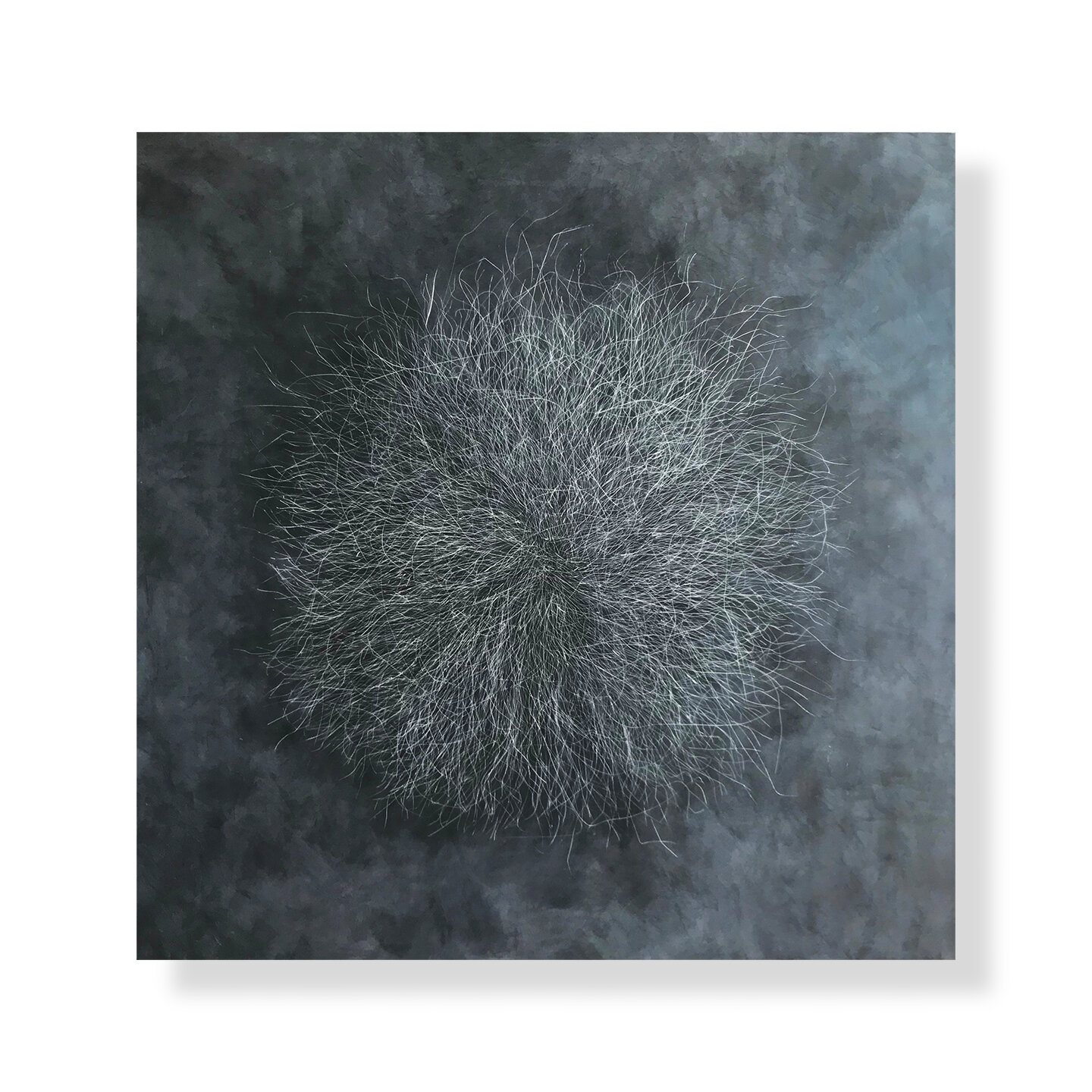 Tumble, 2020 (Included in the de Young Open exhibit, sold) Encaustic, Oil 42 x 42 x 1.75 inches on panel The Tumble series is a result of my attraction to the ephemeral, to the contrast between complexity and evanescence. Inspired by my love for b