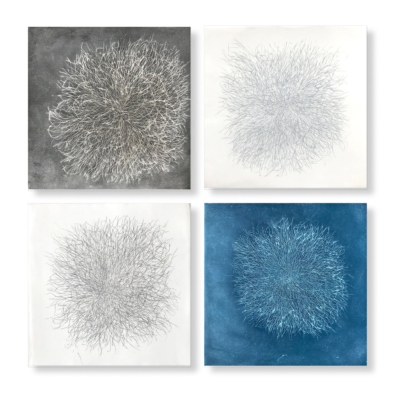 Tumble Tests, 2020 (sold) Encaustic, Oil 8 x 8 x 1.75 inches each on panel The Tumble series is a result of my attraction to the ephemeral, to the contrast between complexity and evanescence. Inspired by my love for brambles, branches, tumbleweed