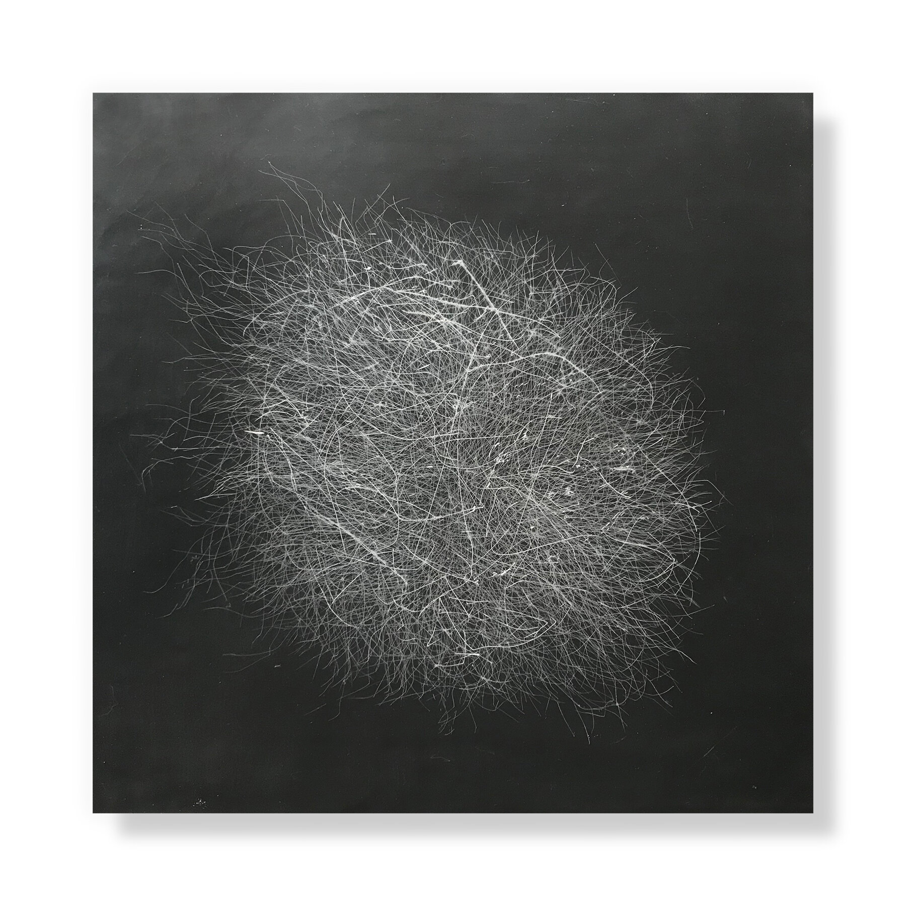 Tumble 4, 2020 (sold) Encaustic, Oil 20 x 20 x 1.75 inches on panel The Tumble series is a result of my attraction to the ephemeral, to the contrast between complexity and evanescence. Inspired by my love for brambles, branches, tumbleweeds and k